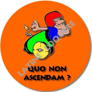 18-quo non ascendam-exemple.jpg